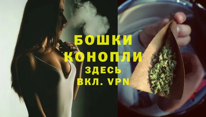 Конопля SATIVA & INDICA  как найти закладки  Великие Луки 